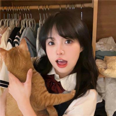 年度新片