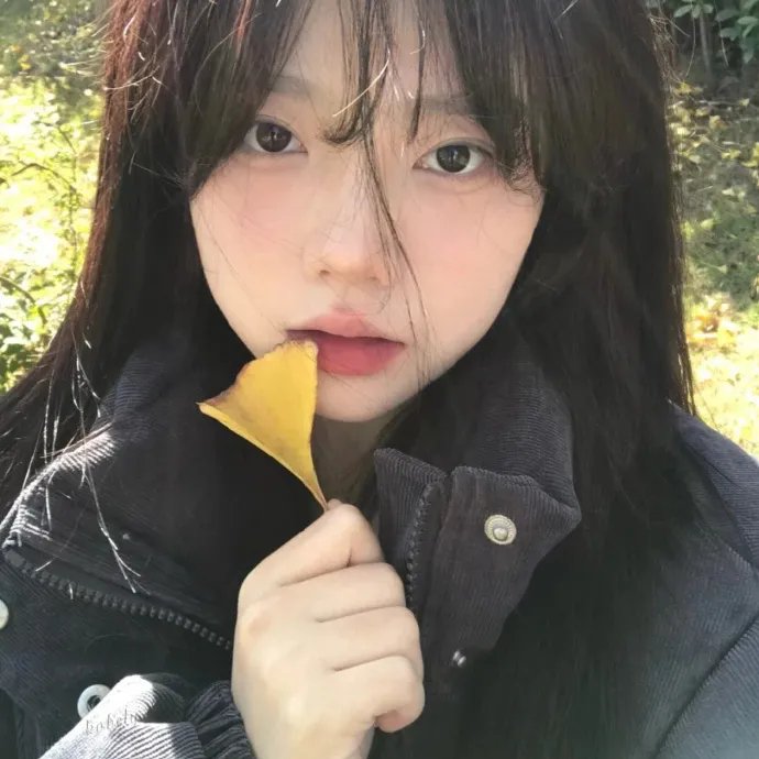 蓝色大丽花